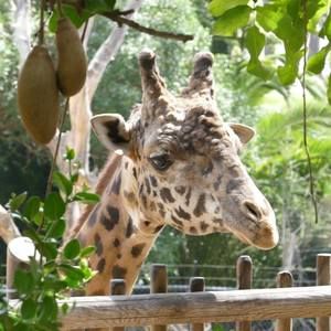 Meet your Posher, Cathy